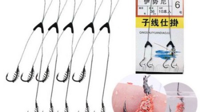 잉어스프링 써보니 👍 할인받고 득템한 솔직 후기!